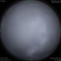 1563506225.jpg