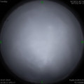 1563506630.jpg