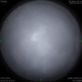 1563507021.jpg