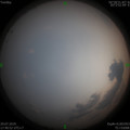 1563619110.jpg