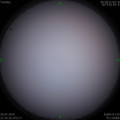 1563633187.jpg