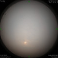 1563688444.jpg