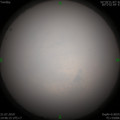 1563695017.jpg