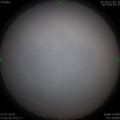 1563703166.jpg