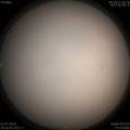 1563711255.jpg
