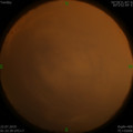 1563733811.jpg