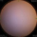 1563740819.jpg