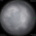 1563767022.jpg