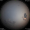 1563790748.jpg
