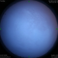 1563810603.jpg