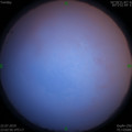 1563811233.jpg