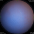 1563811293.jpg