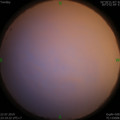 1563812224.jpg