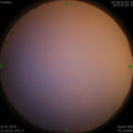 1563812284.jpg