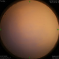 1563812779.jpg