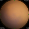 1563812899.jpg