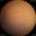 1563813019.jpg