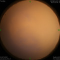 1563813199.jpg