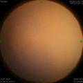 1563813259.jpg