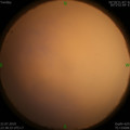 1563813379.jpg