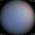 1563890246.jpg