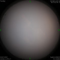 1563972819.jpg