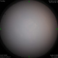 1563973209.jpg