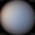 1564012963.jpg