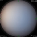 1564013354.jpg