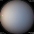 1564016385.jpg