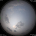 1564032008.jpg