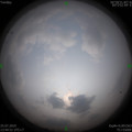 1564036945.jpg
