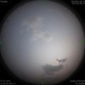 1564043068.jpg