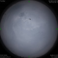 1564061137.jpg