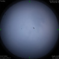 1564064123.jpg