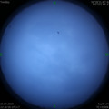 1564068265.jpg