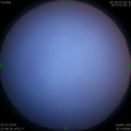 1564069556.jpg