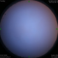 1564069871.jpg