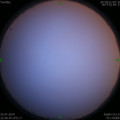 1564070051.jpg