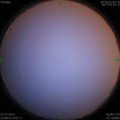 1564070306.jpg