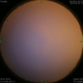 1564071102.jpg