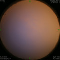 1564071162.jpg