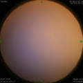 1564071237.jpg