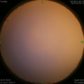 1564071417.jpg