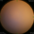 1564071537.jpg