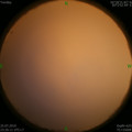 1564071837.jpg