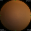 1564073038.jpg