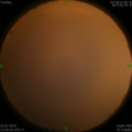 1564073278.jpg