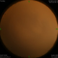 1564075739.jpg