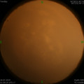 1564078020.jpg